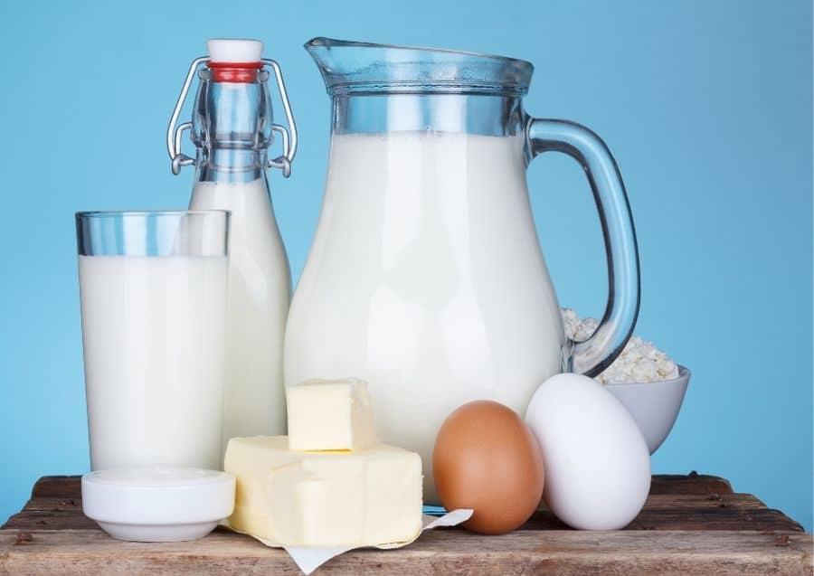 4 2 Hoe worden lactosevrije producten gemaakt?