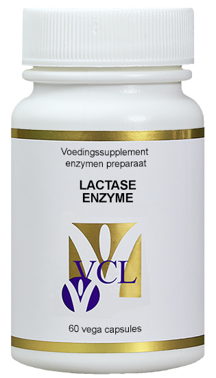 Lactase enzyme