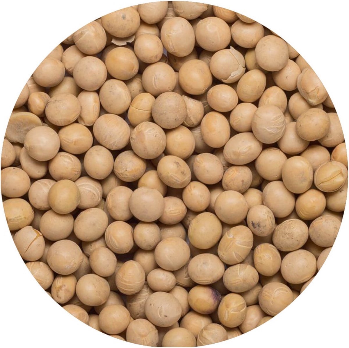 Sojabonen Ongepeld - 1 Kg - Holyflavours