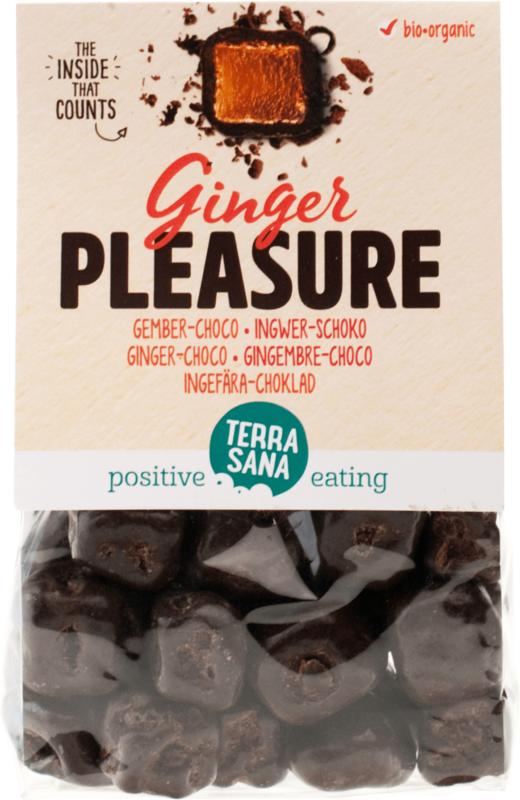 Terrasana Ginger pleasure choco bio 150 gram